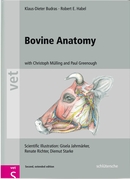 Bovine Anatomy De Klaus Dieter Budras, Robert E. Habel, Christoph K.W. Mülling et Paul R. Greenough - Schluetersche