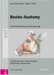Bovine Anatomy De Klaus Dieter Budras, Robert E. Habel, Christoph K.W. Mülling et Paul R. Greenough - Schluetersche