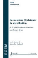Les réseaux électriques de distribution (traité EGEM) De HADJSAÏD Nouredine - HERMES SCIENCE PUBLICATIONS / LAVOISIER