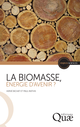 La biomasse, énergie d’avenir ? De Paul Mathis et Hervé Bichat - Quæ