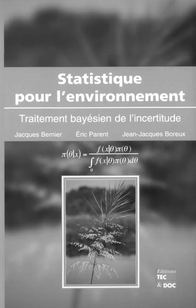 Statistique pour l'environnement: Traitement bayésien de l'incertitude - Jacques BERNIER, Eric PARENT, Jean-Jacques BOREUX - Tec & Doc