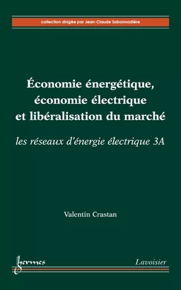 Économie énergétique, économie électrique et libéralisation du marché (les réseaux d'énergie électrique 3A)