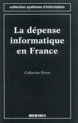 La dépense informatique en France (coll. Systèmes d'information)