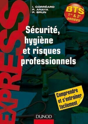 Sécurité, hygiène et risques professionnels - Patrick Anaya, Patrick Brun, Isabelle Corréard - Dunod
