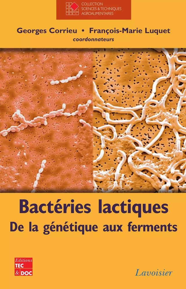 Bactéries lactiques. De la génétique aux ferments - Georges Corrieu, François-Marie Luquet - Tec & Doc