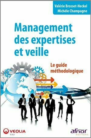 Management des expertises et veille - Le guide méthodologique - Valérie Brosset-Heckel, Michèle Champagne - Afnor Éditions