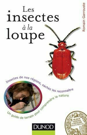 Les insectes à la loupe - Romain Garrouste - Dunod