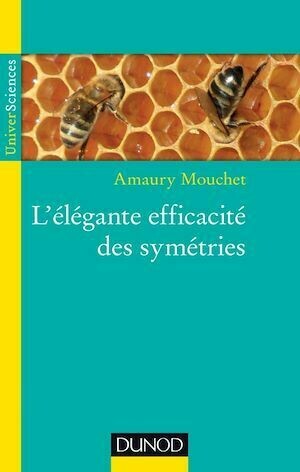 L'élégante efficacité des symétries - Amaury Mouchet - Dunod