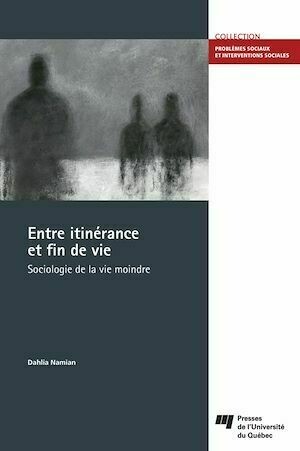 Entre itinérance et fin de vie - Dahlia Namian - Presses de l'Université du Québec
