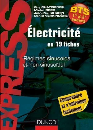 Électricité en 19 fiches - Michel Boes, Daniel Verkindère, Guy Chateigner, Jean-Paul Chopin - Dunod
