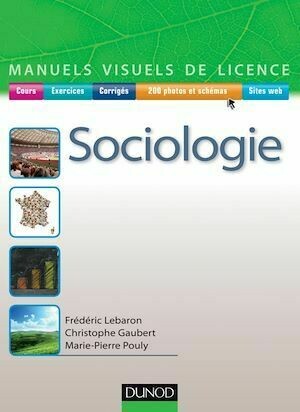 Manuel visuel de sociologie - Frédéric Lebaron - Dunod