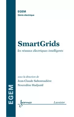 SmartGrids - Nouredine Hadjsaïd, Jean-Claude Sabonnadière, Ren Le Doeuff, Daniel PASQUET, Jean-Pierre GOURE,  Baptist, Jack LEGRAND - Hermès Science