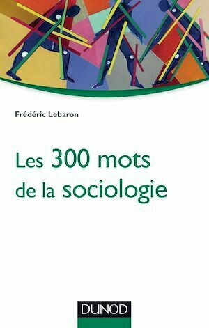 Les 300 mots de la sociologie - Frédéric Lebaron - Dunod