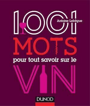 1001 mots pour tout savoir sur le vin - Antoine Lebègue - Dunod