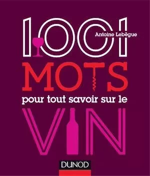 1001 mots pour tout savoir sur le vin - Antoine Lebegue - Dunod