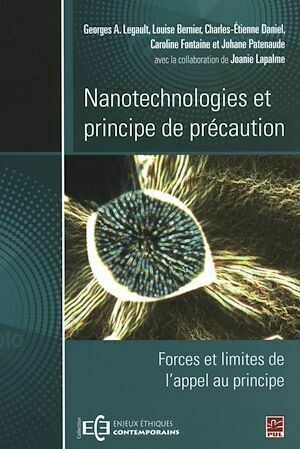 Nanotechnologies et principe de précaution - Collectif Collectif - Presses de l'Université Laval