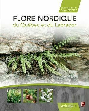 Flore nordique du Québec et du Labrador 01 - Serge Payette - Presses de l'Université Laval
