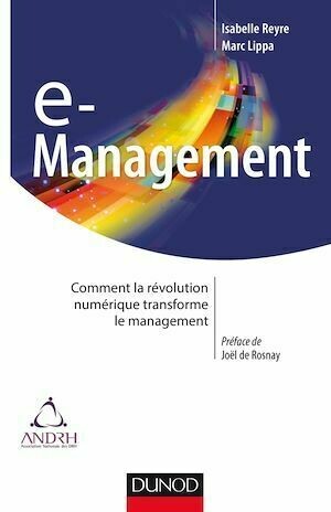 E-management - Isabelle Reyre, Marc Lippa - Dunod