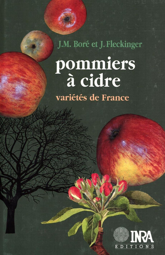 Pommiers à cidre - Jean Michel Boré, Jean Fleckinger - Quæ