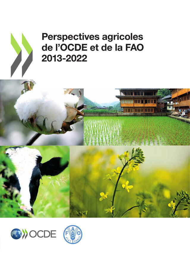 Perspectives agricoles de l'OCDE et de la FAO 2013 -  Collectif - OCDE / OECD