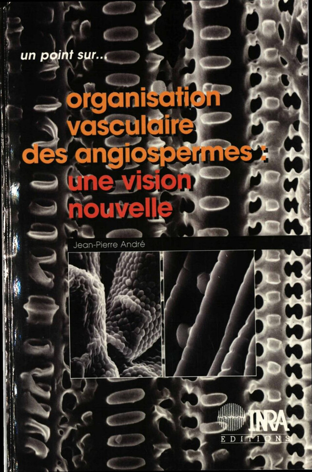 Organisation vasculaire des angiospermes : une vision nouvelle - Jean-Pierre André - Quæ