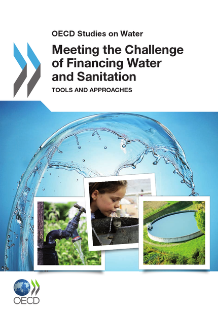 Meeting the Challenge of Financing Water and Sanitation -  Collective - OCDE / OECD