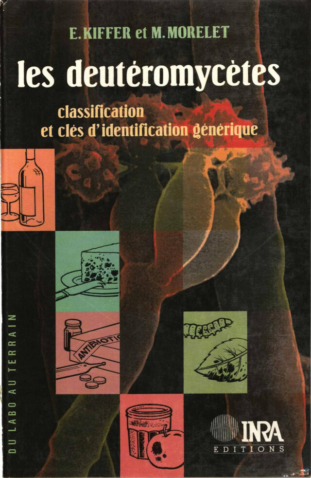 Les Deutéromycètes - Etienne Kiffer, Michel Morelet - Quæ