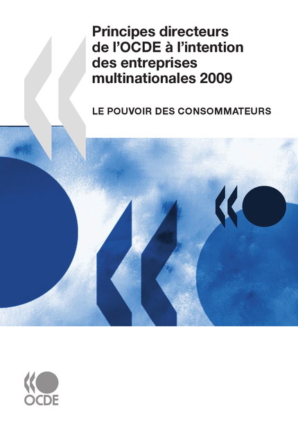 Principes directeurs de l'OCDE à l'intention des entreprises multinationales 2009 -  Collectif - OCDE / OECD