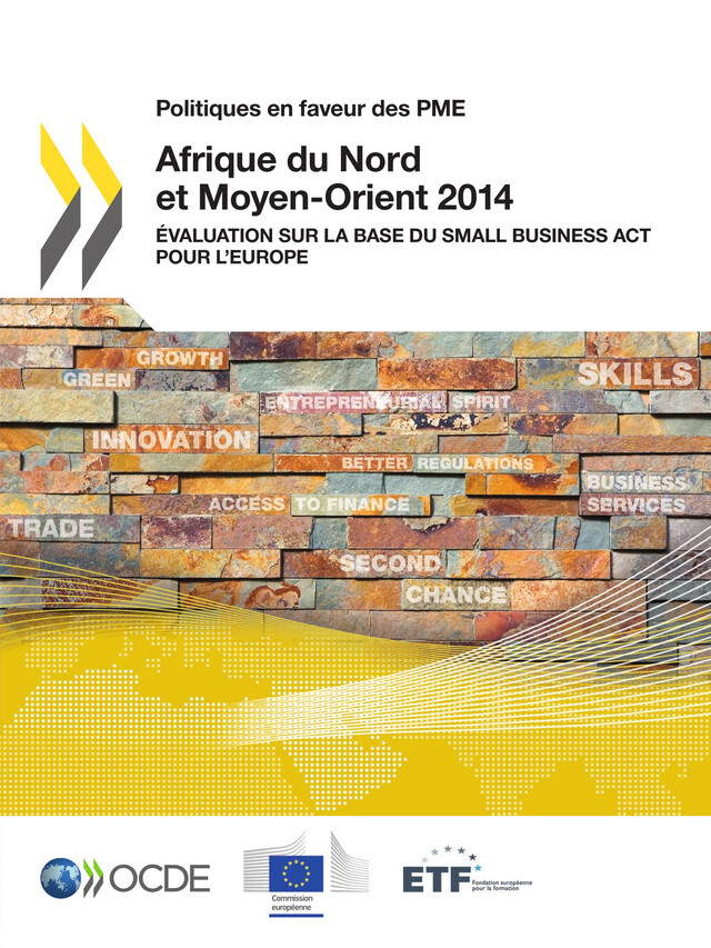 Politiques en faveur des PME Afrique du Nord et Moyen-Orient 2014 -  Collectif - OCDE / OECD