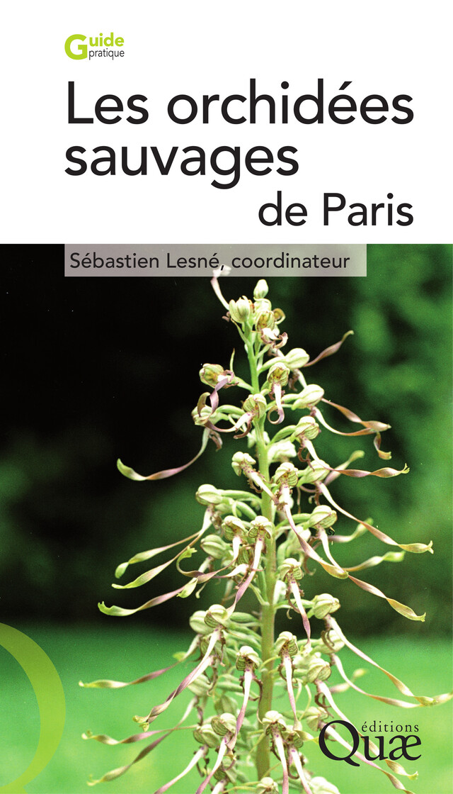 Les orchidées sauvages de Paris - Sébastien Lesné - Quæ