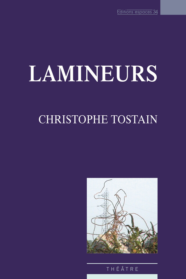 Lamineurs - Christophe Tostain - Éditions Espaces 34