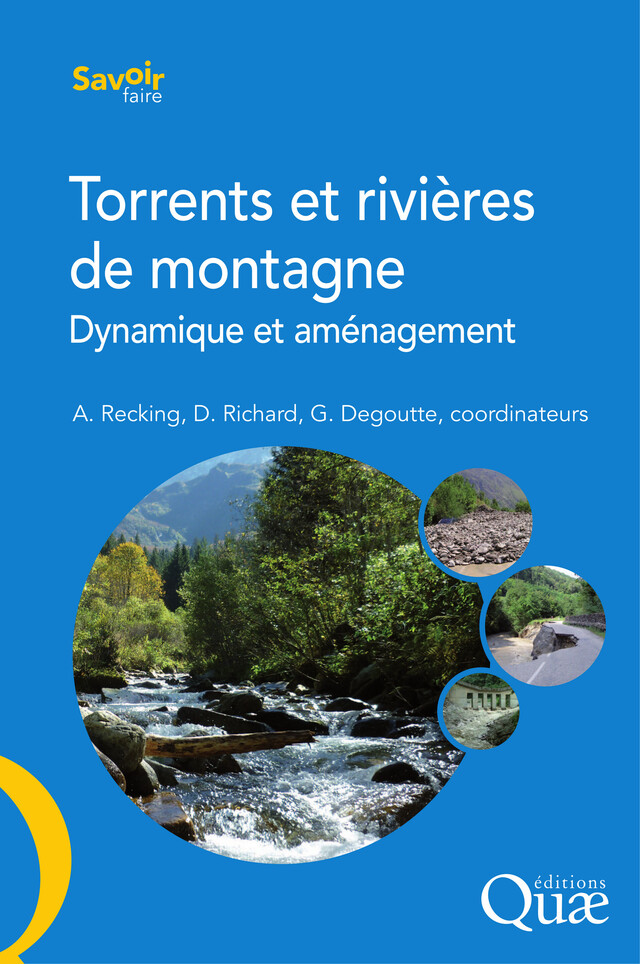 Torrents et rivières de montagne - Alain Recking, Didier Richard, Gérard Degoutte - Quæ