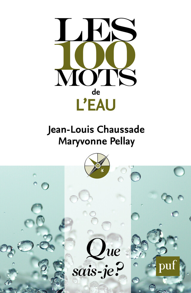 Les 100 mots de l'eau - Jean-Louis Chaussade, Maryvonne Pellay - Que sais-je ?