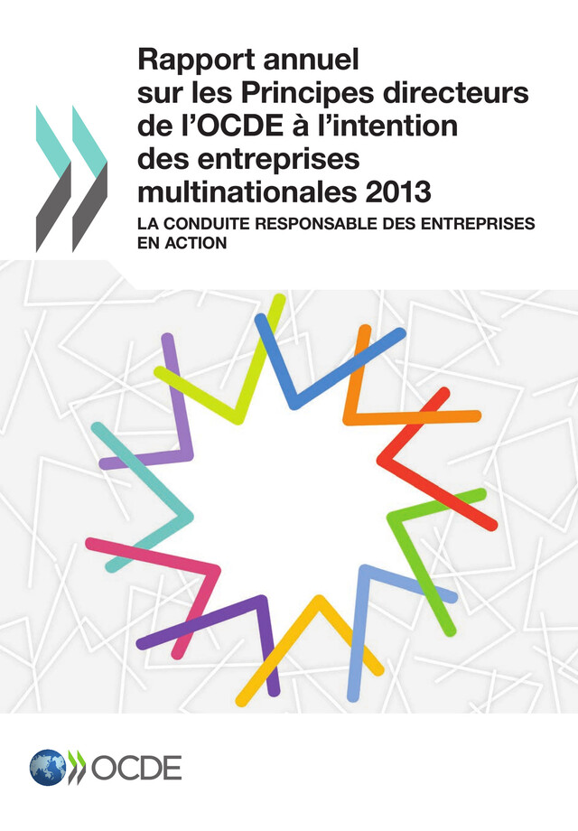 Rapport annuel sur les Principes directeurs de l'OCDE à l'intention des entreprises multinationales 2013 -  Collectif - OCDE / OECD