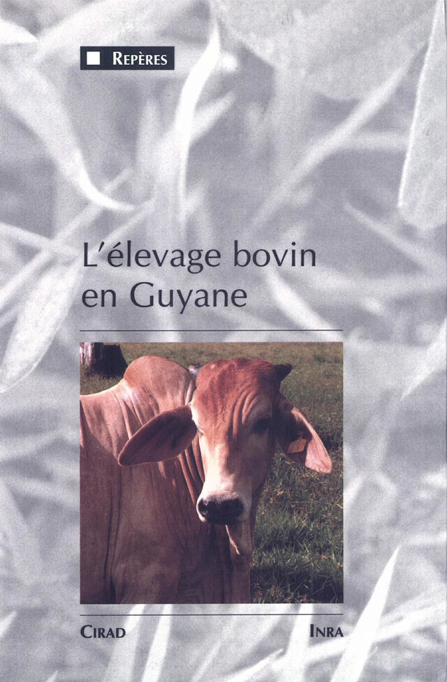 L'élevage bovin en Guyane - Bertrand Vissac, Michel Vivier, Gérard Matheron - Quæ