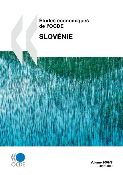 Études économiques de l'OCDE : Slovénie 2009 -  Collectif - OCDE / OECD