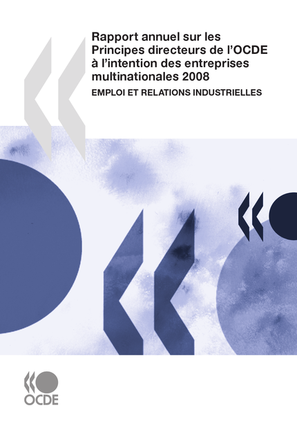 Rapport annuel sur les Principes directeurs de l’OCDE à l’intention des entreprises multinationales 2008 -  Collectif - OCDE / OECD