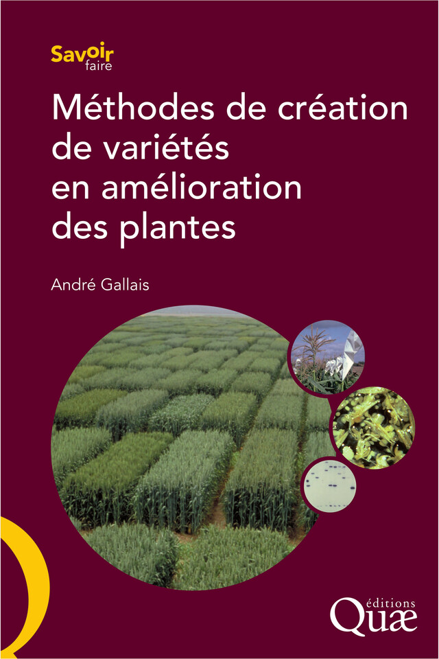 Méthodes de création de variétés en amélioration des plantes - André Gallais - Quæ