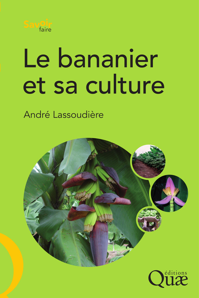 Le bananier et sa culture - André Lassoudière - Quæ