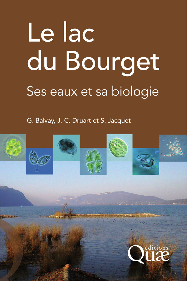 Le lac du Bourget - Gérard Balvay, Jean-Claude Druart, Stéphan Jacquet - Quæ