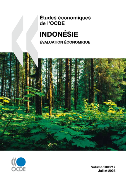Études économiques de l'OCDE : Indonésie 2008 -  Collectif - OCDE / OECD
