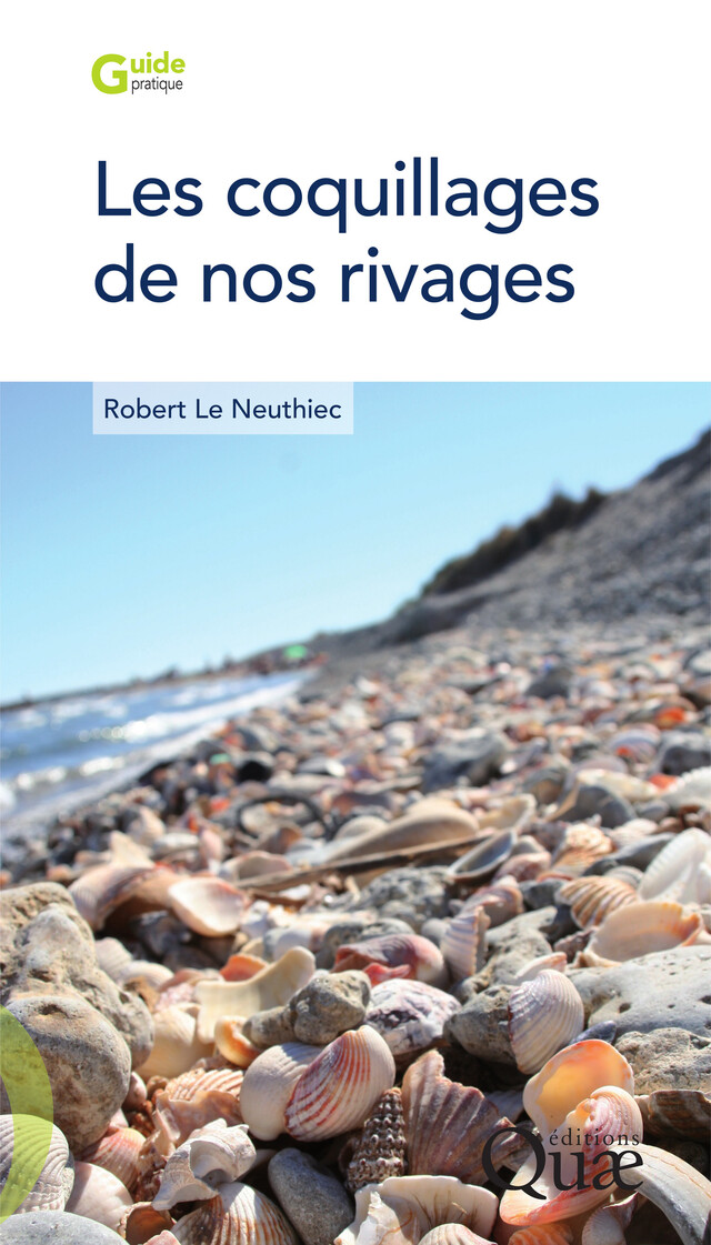Les coquillages de nos rivages - Le Neuthiec Robert - Quæ