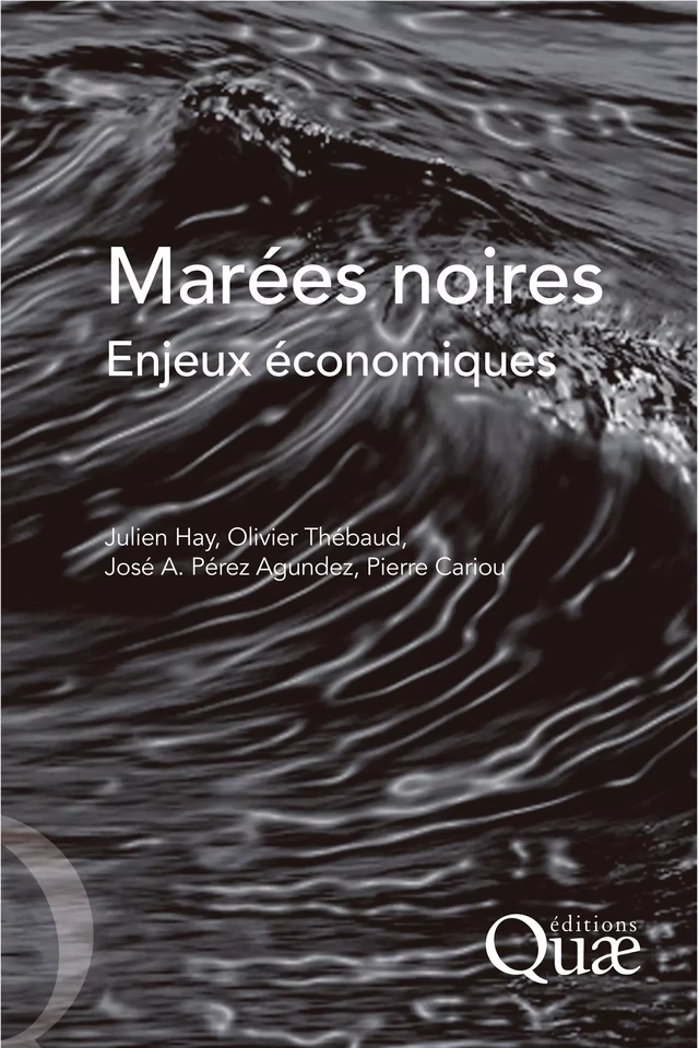 Marées noires - Julien Hay, Olivier Thébaud, José Perez Agundez, Pierre Cariou - Quæ