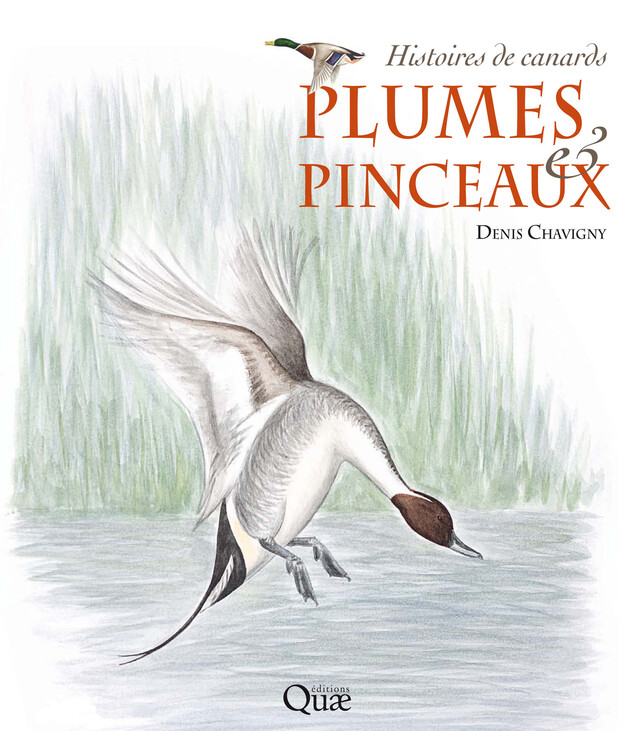 Plumes & pinceaux - Denis Chavigny - Quæ