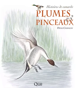 Plumes & pinceaux