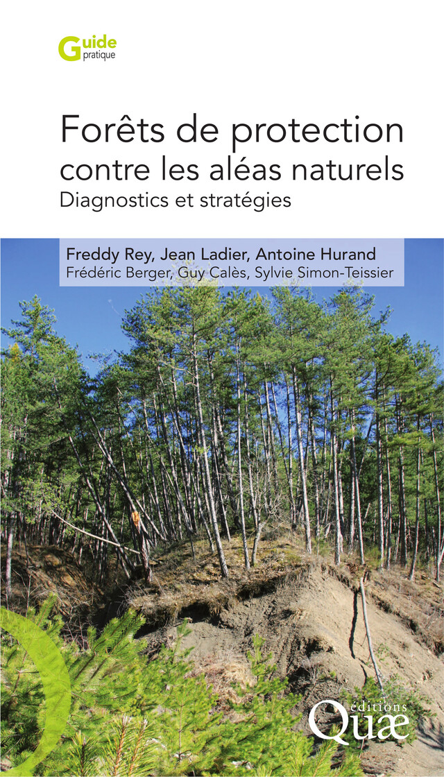 Forêts de protection contre les aléas naturels - Freddy Rey, Antoine Hurand, Frédéric Berger, Sylvie Simon-Teissier, Jean Ladier, Guy Calès - Quæ