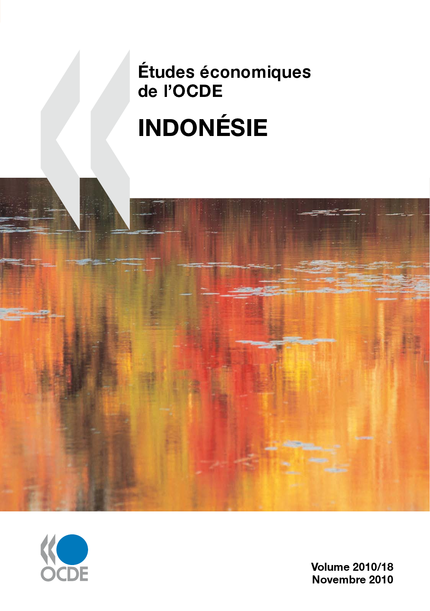 Études économiques de l'OCDE : Indonésie 2010 -  Collectif - OCDE / OECD
