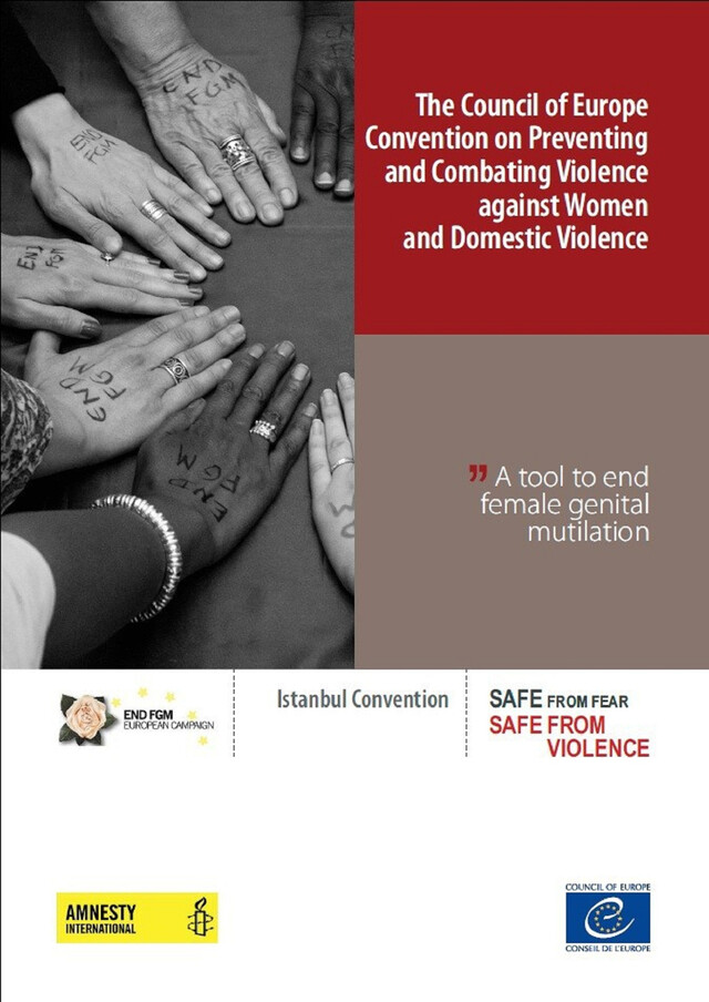 The Council of Europe Convention on Preventing and Combating Violence against Women and Domestic Violence - A tool to end female genital mutilation -  Collectif - Conseil de l'Europe