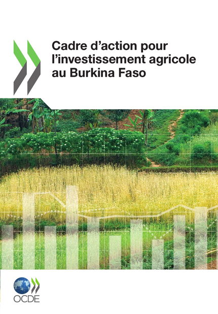Cadre d'action pour l'investissement agricole au Burkina Faso -  Collectif - OCDE / OECD