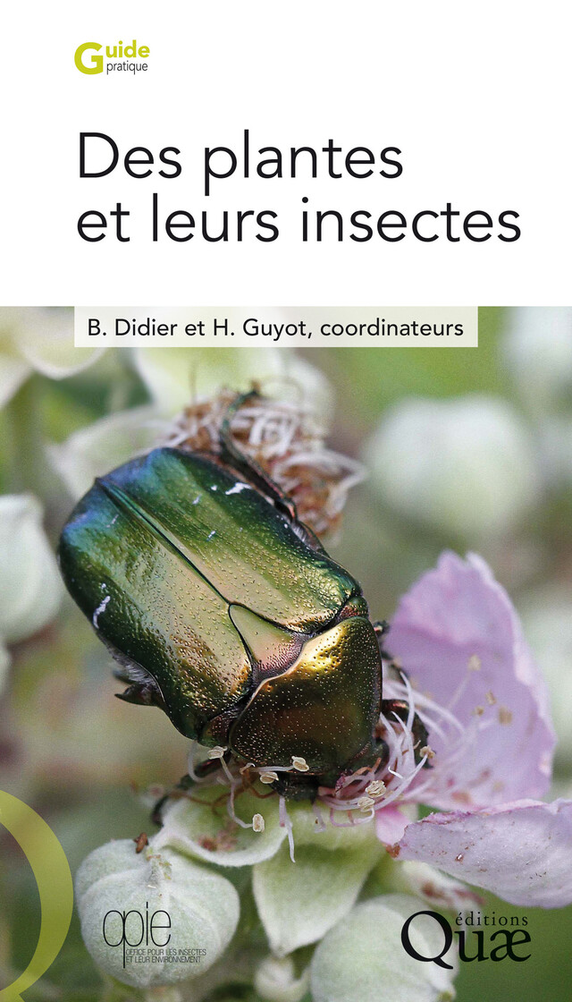 Des plantes et leurs insectes - Bruno Didier, Hervé Guyot - Quæ